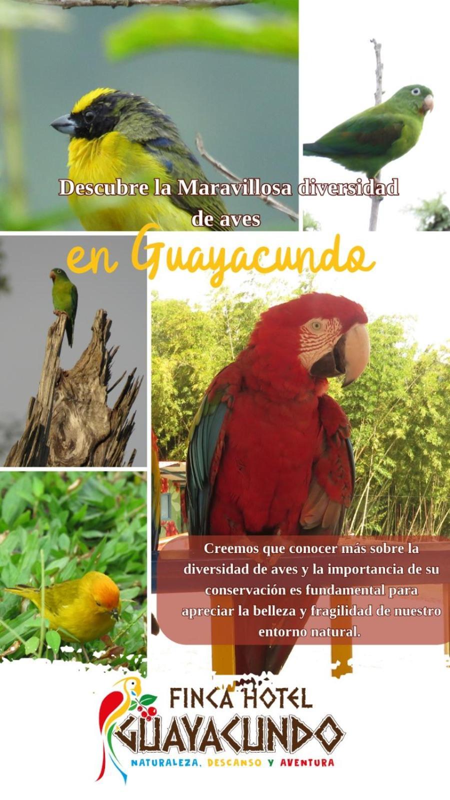 Finca Hotel Guayacundo Vergara المظهر الخارجي الصورة